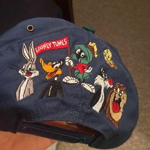 WARNER BROS VINTAGE HAT